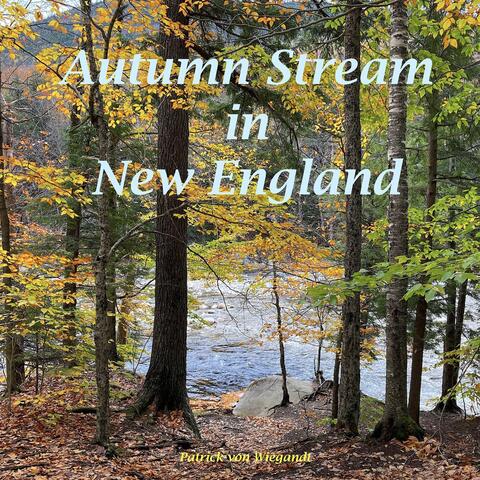 Autumn Stream in New England