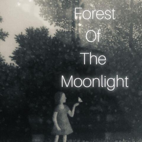 Forest of the Moonlight 2