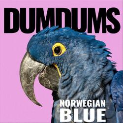 Norwegian Blue