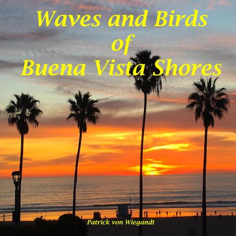 Waves and Birds of Buena Vista Shores
