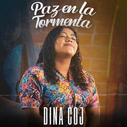 Paz En La Tormenta