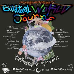 Hay muchos Eulidia yarreliis en Arica