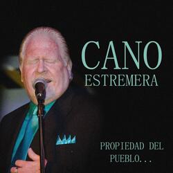 Pero Me Hiciste Tuyo (En Vivo)
