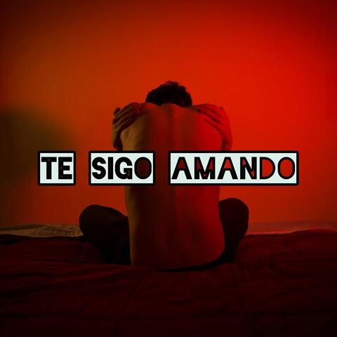 Te Sigo Amando