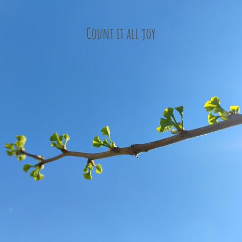 Count It All Joy