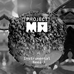 More Than I Can Chew (Instrumental)