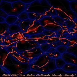 La Salsa Delicada Hurdy Gurdy