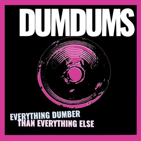 Everything Dumber Than Everything Else