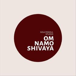 Om Namo Shivaya (feat. VIJAY)