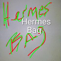 Hermes Bag