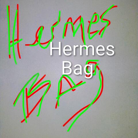 Hermes Bag