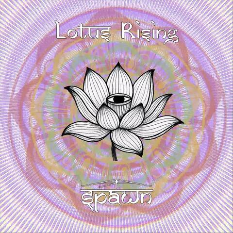 Lotus Rising