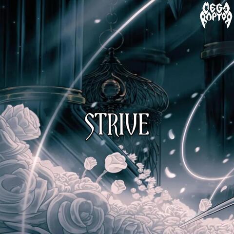 Strive