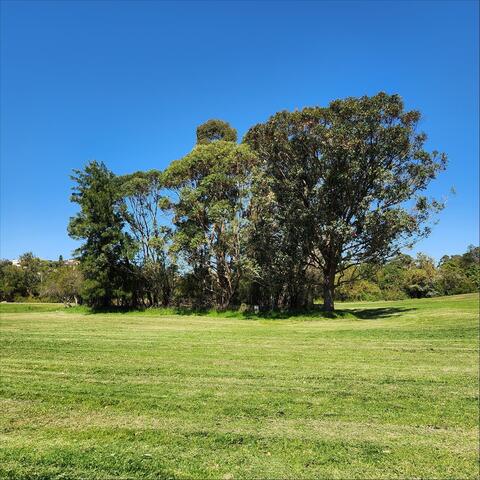 All Future Plunges to the Past