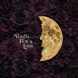 Primer Verso (Balada Pop)