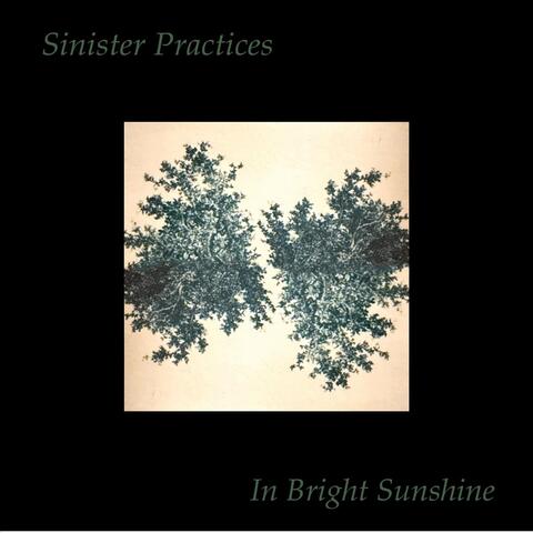 Sinister Practices in Bright Sunshine