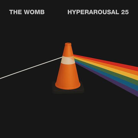 Hyperarousal 25