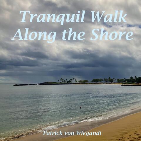 Tranquil Walk Along the Shore