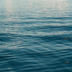 Thinner (Willverine Remix)