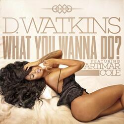 What You Wanna Do? (feat. Artimar Cole)