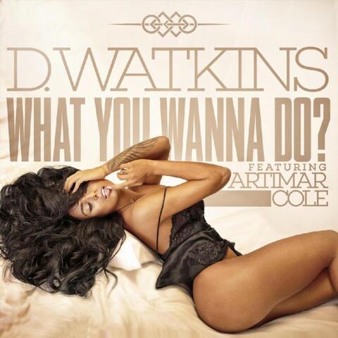 What You Wanna Do? (feat. Artimar Cole)