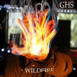 Wildfire (feat. Tamaroa)