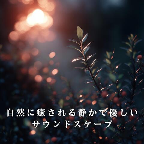 自然に癒される静かで優しいサウンドスケープ