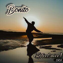 Bonito (I Feel Nice)