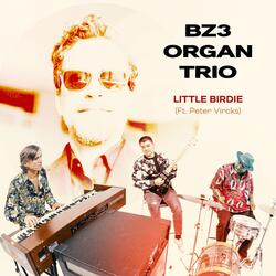 Little Birdie (feat. Peter Vircks)