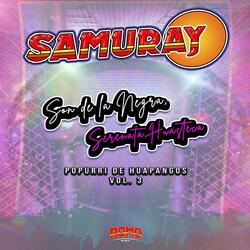 Popurrí De Huapangos Vol3 (Son De La Negra, Serenata Huasteca)