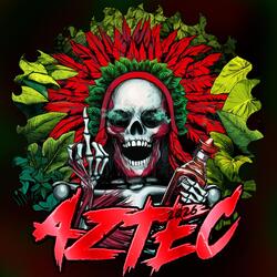 Aztec 2026 (Hjemmesnekk)