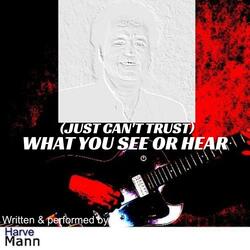(Just Can't Trust) What You See and Hear