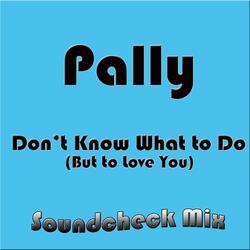Don't Know What to Do (But to Love You) [Soundcheck Mix]