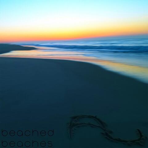 Beached Beaches