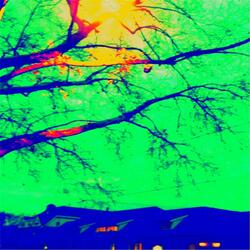 Wonder Wakes When Youre Not Watching