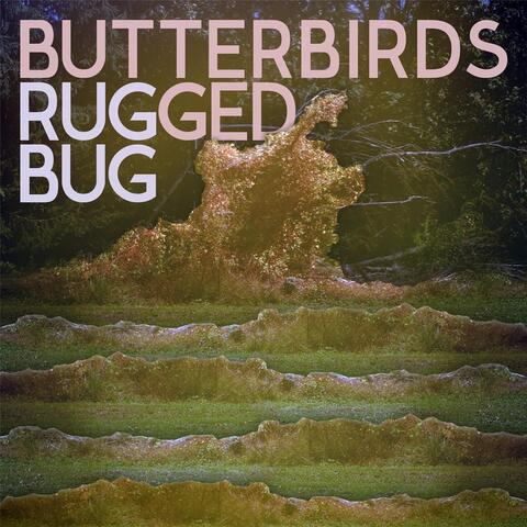 Rugged Bug