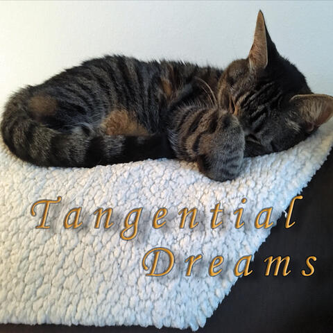 Tangential Dreams