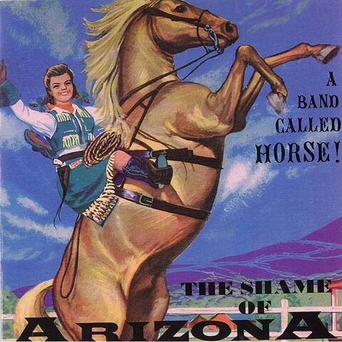 The Shame of Arizona