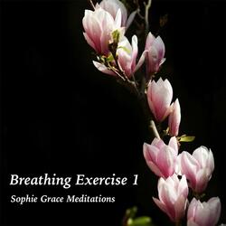 Breathing Exercise 1 (Super Short Mix)