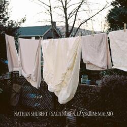 Saga Norén, Länskrim, Malmö