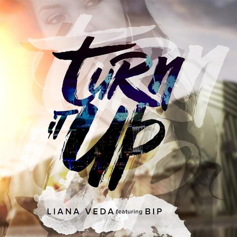 Turn It Up (feat. Bip)