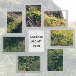 Another Set of Eyes
