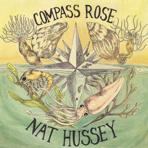 Compass Rose