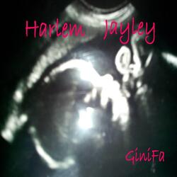 Harlem Jayley