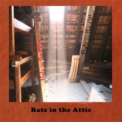 Rats in the Attic