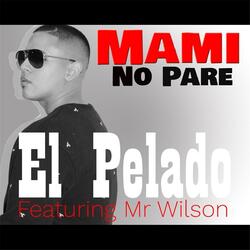 Mami No Pare (feat. Mr Wilson)