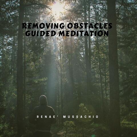 Removing Obstacles: Guided Meditation
