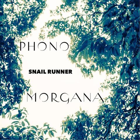 Phono Morgana