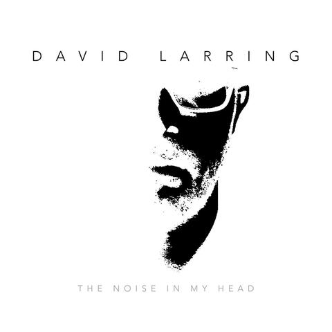 The Noise in My Head