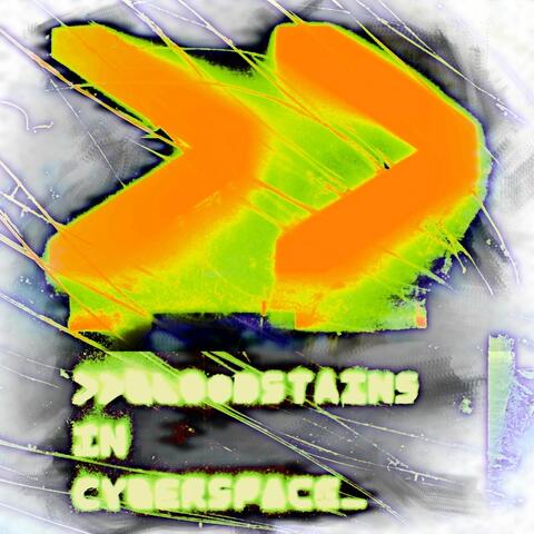 Bloodstains in Cyberspace